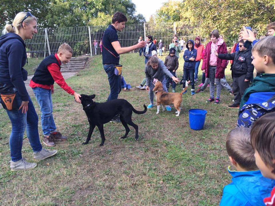 Kutyás bemutató is volt az iskolában!