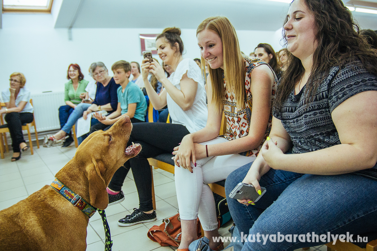 Adj töpit! - szólott Demény