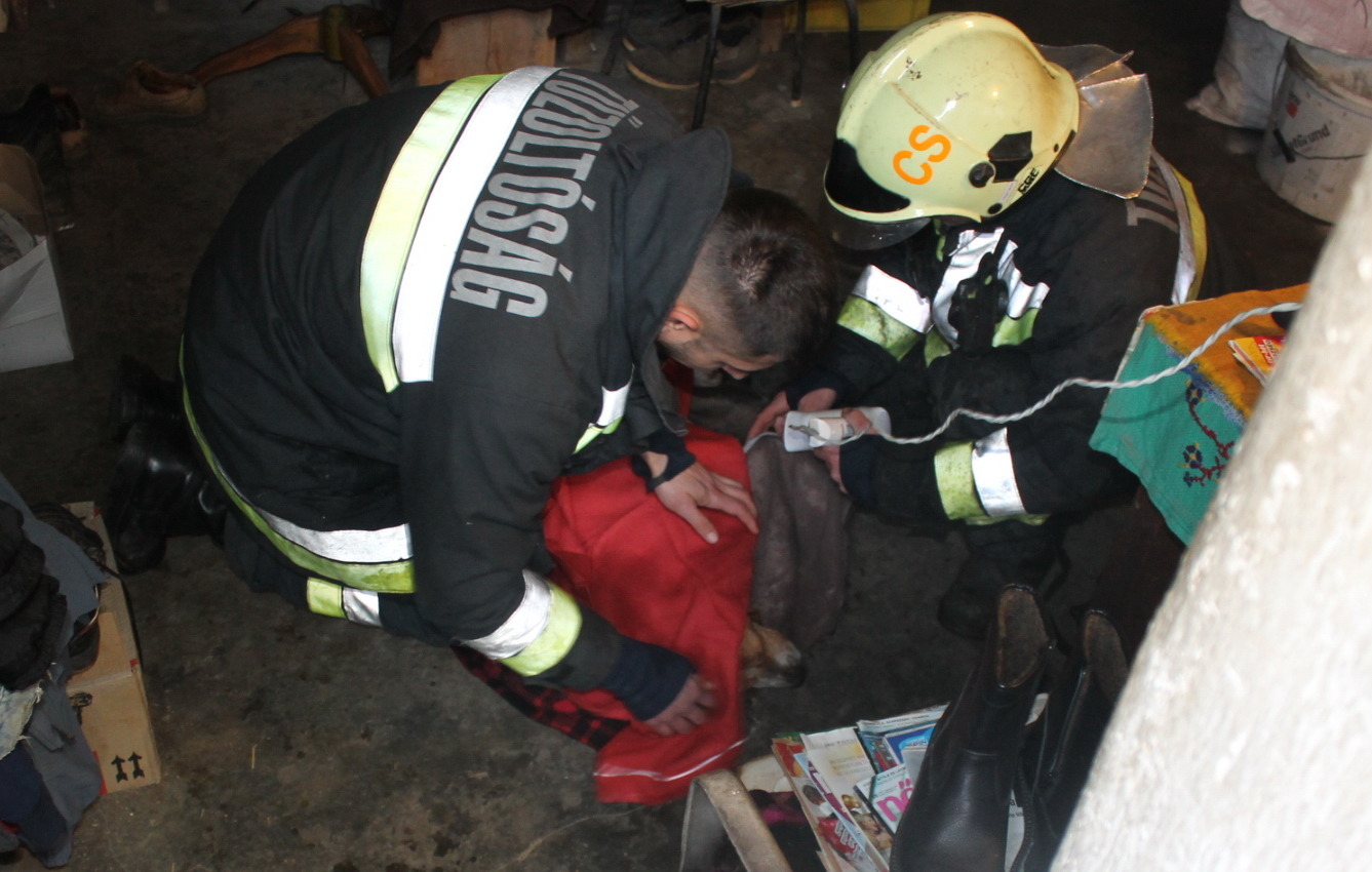 Tűzoltók mentették ki a kutyát a kútból