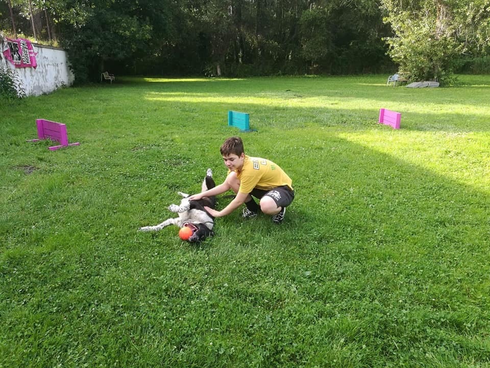 Folti hamar feloldódott, játékos kutyává vált