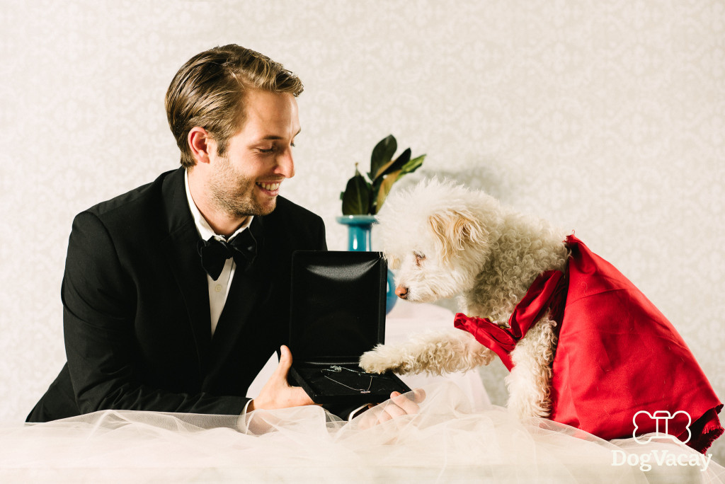 Micsoda nő! Micsoda nő!