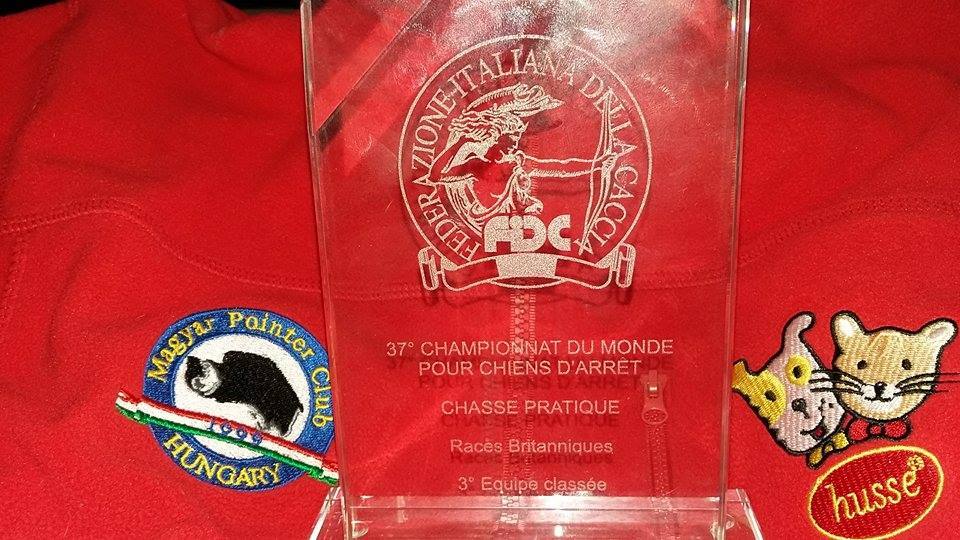 37. Vizsla Világbajnokság - A magyar csapat által elnyert díj