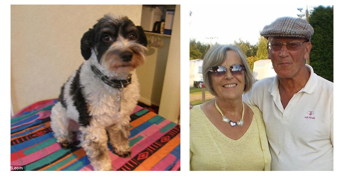 Egy 80 éves dédmama, aki életét adta kiskutyájáért - Millie Smith és férje, Bev Smith