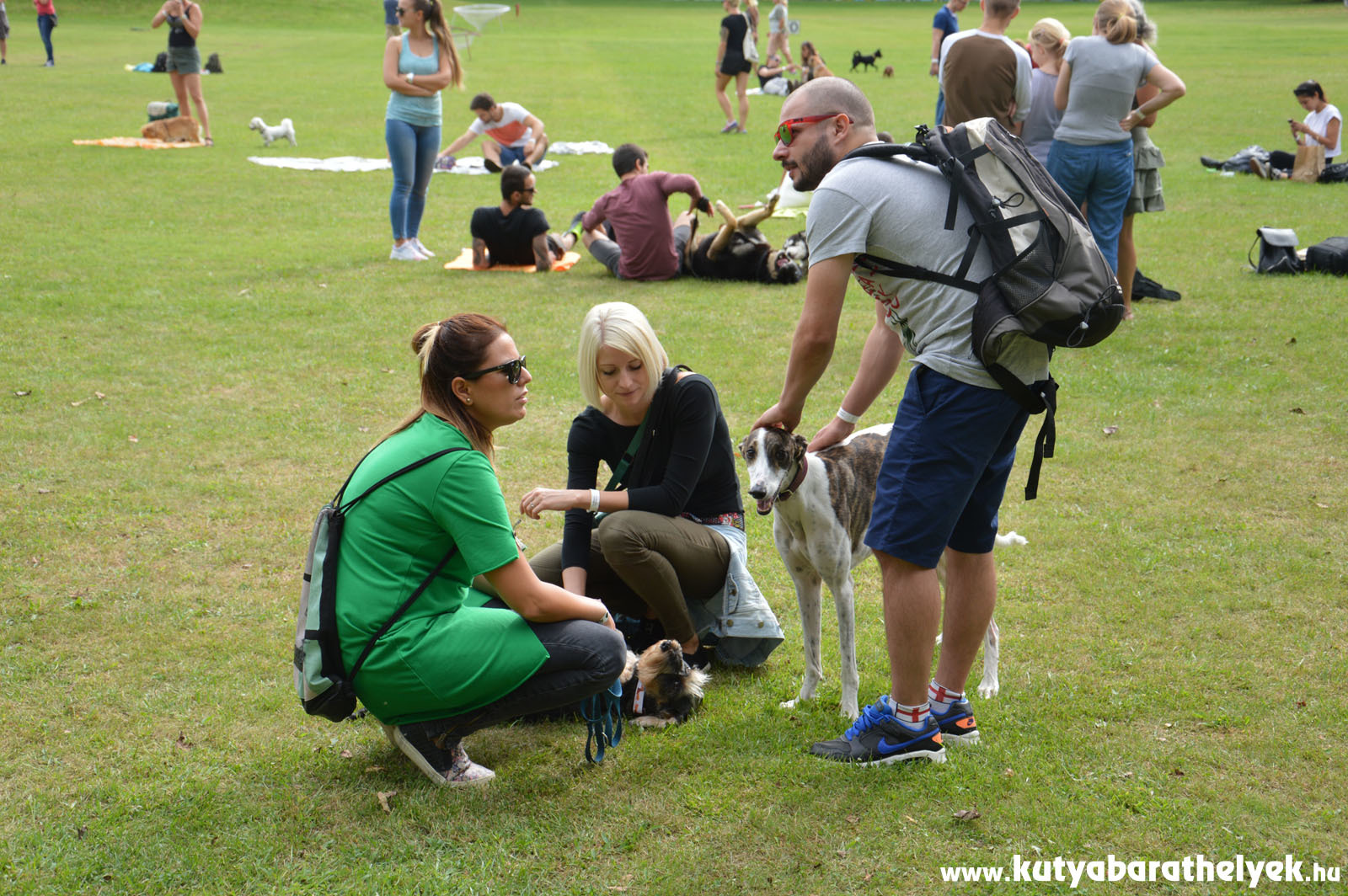 Hamar megtelt a Golftanya kutyásokkal