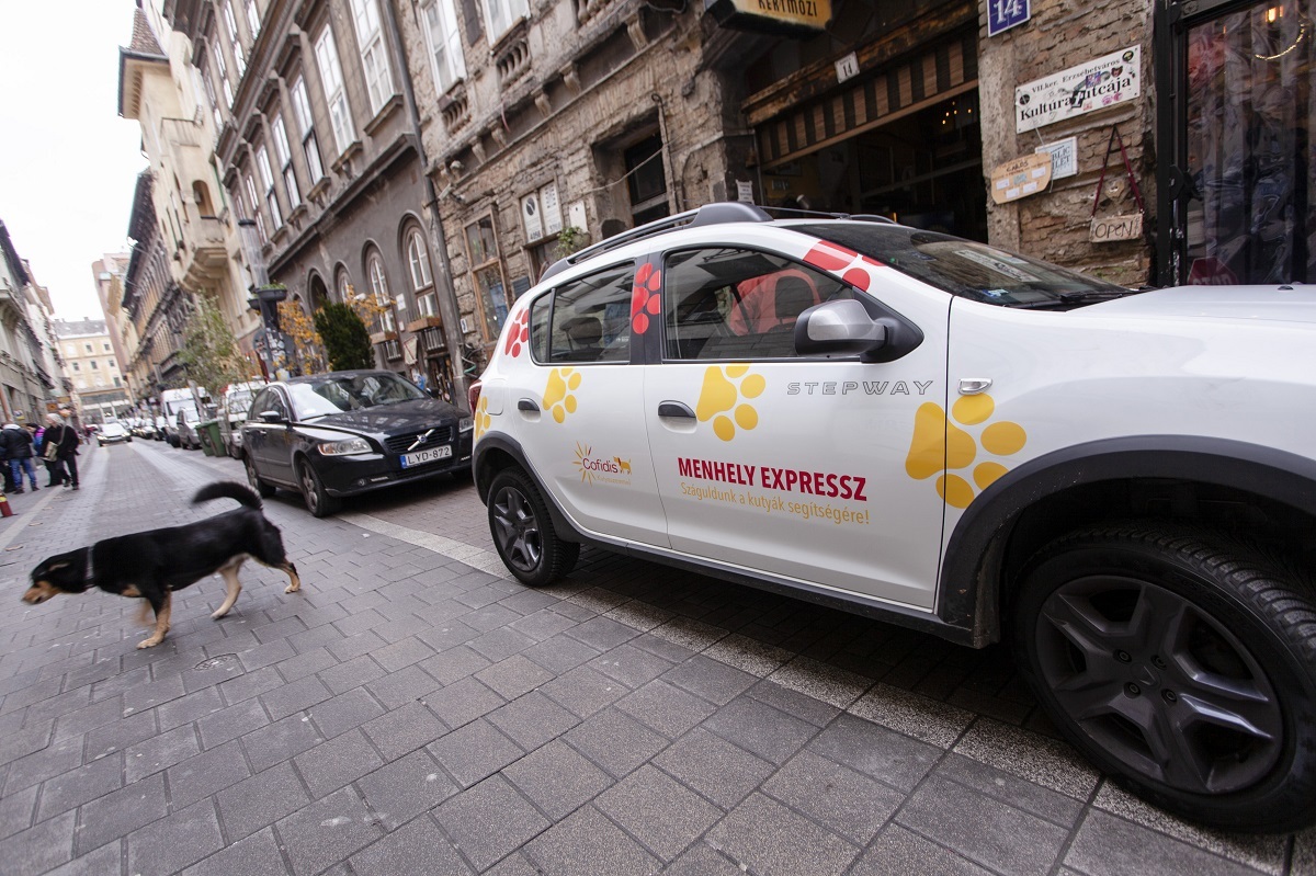 Menhely expressz - az autó az állatmenhelyek szolgálatába állt
