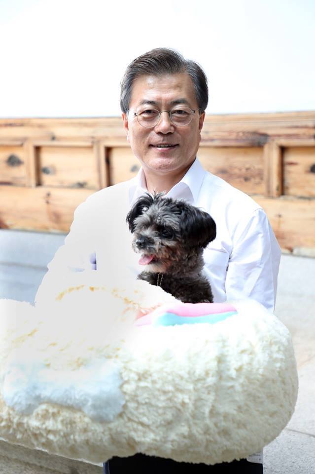 Kényelmes, de ami még fontosabb: biztonságos és szeretetteljes otthon vár Toryra