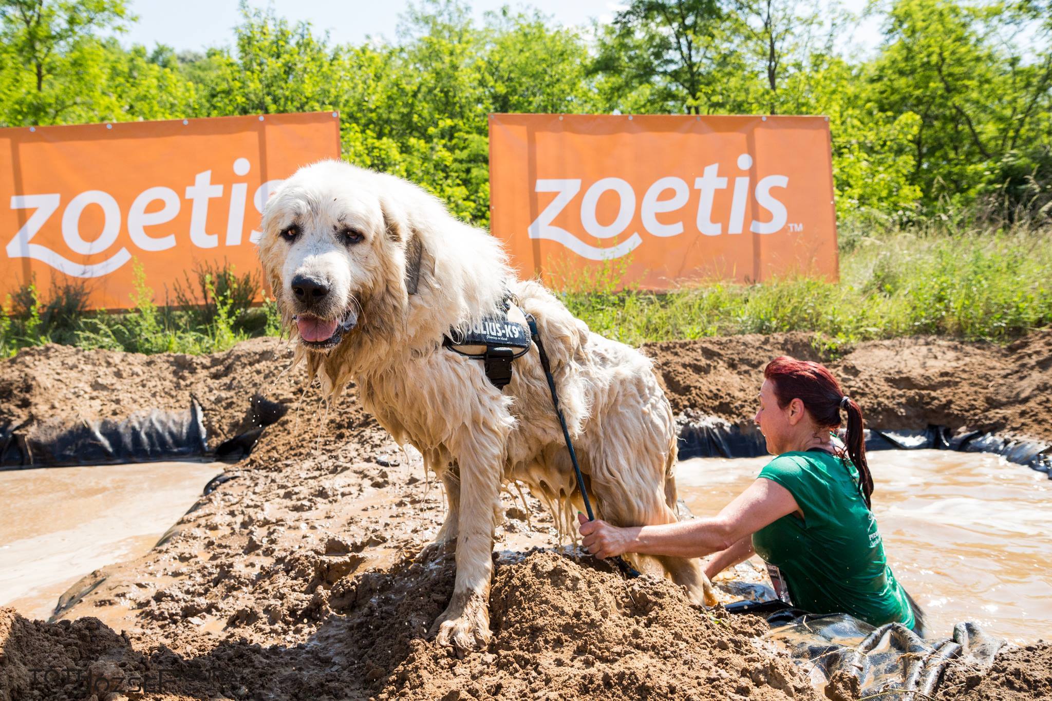 A legkisebbektől a legnagyobbakig mindenféle kutyával indultak