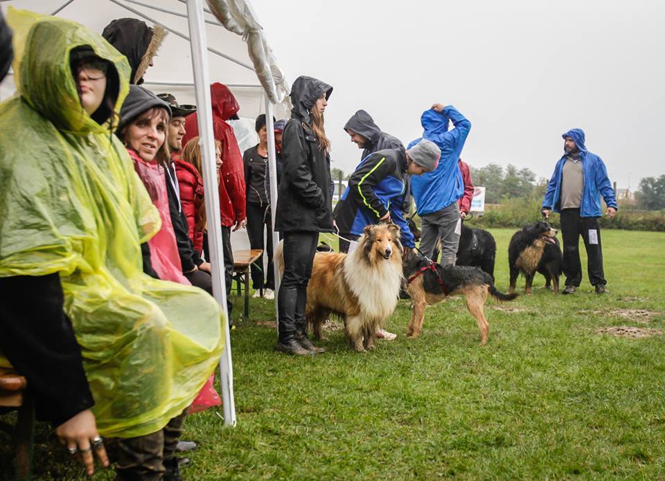Az eső elől sátrak alá lehetett bújni