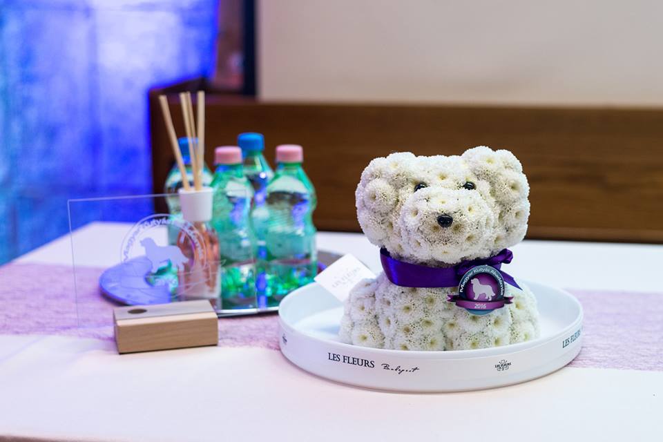 Magyar Kutyás Akadémia