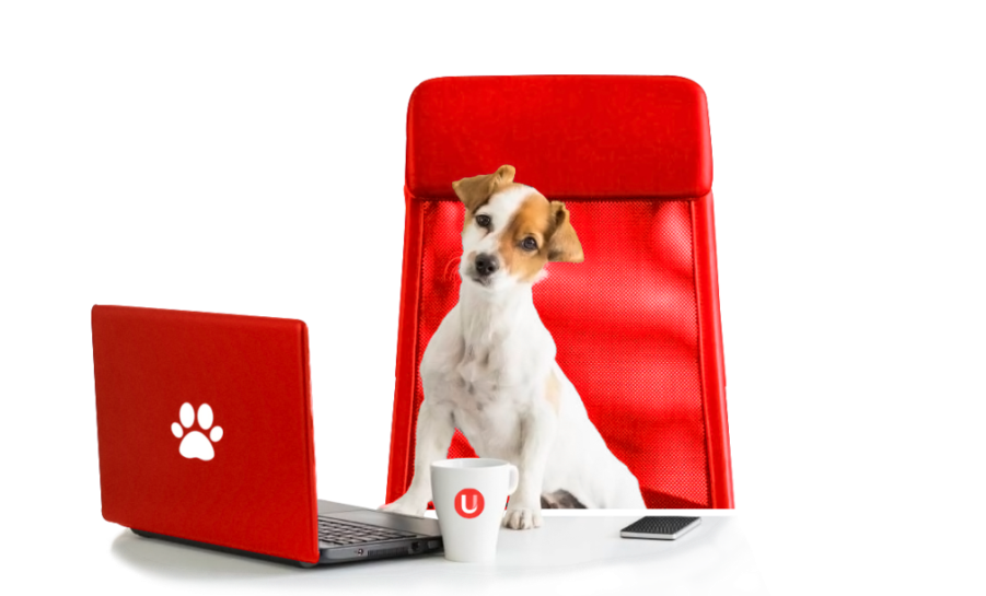 Kutyabaráttá vált az UNION Biztosító irodaháza