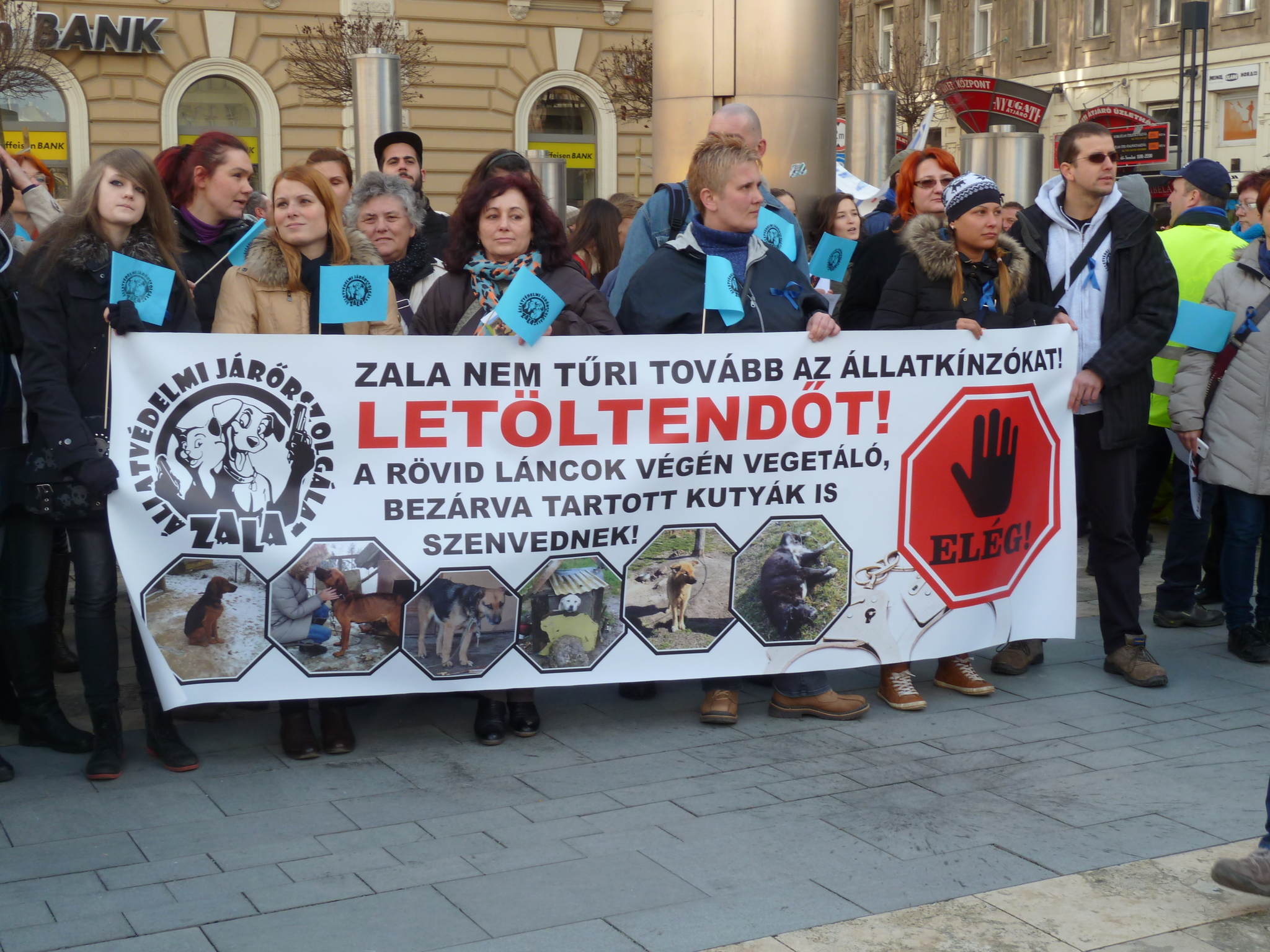 A szervezetek minden tagjukat magukkal hozták