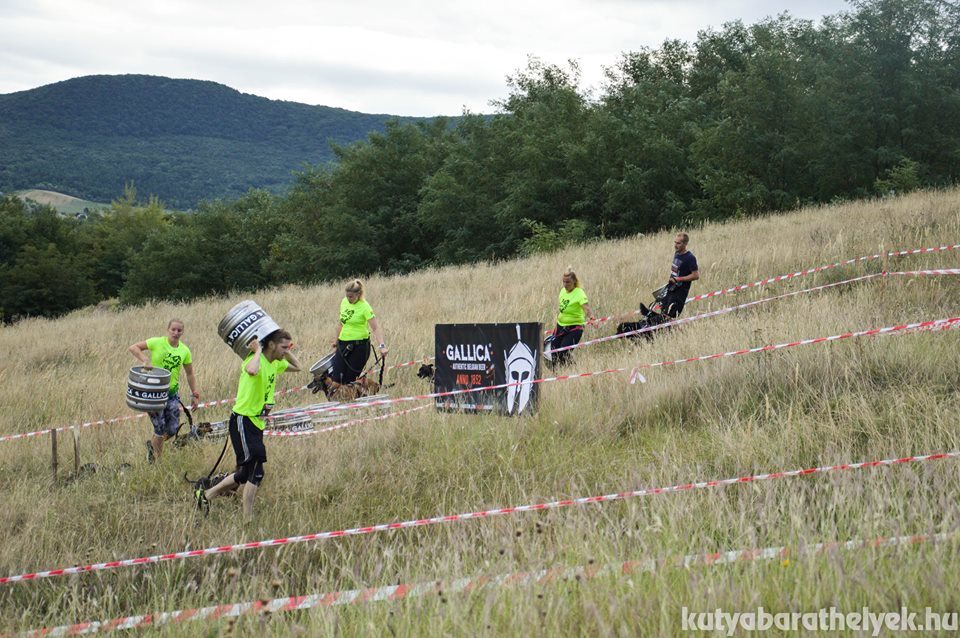 Változatos akadályok tarkítják a pályát