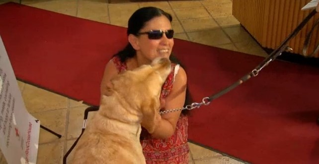 Yolanda többször is megmentette gazdája életét