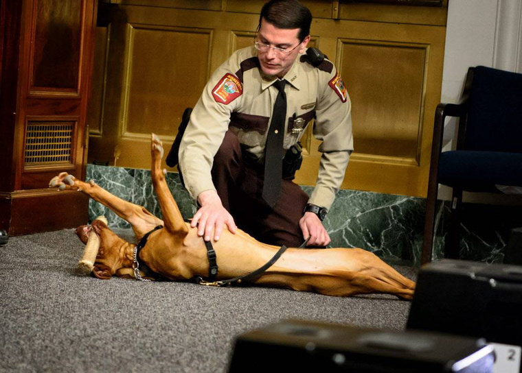 Legyen bármilyen ünnepélyes is az alkalom, egy pocak-simi belefér!