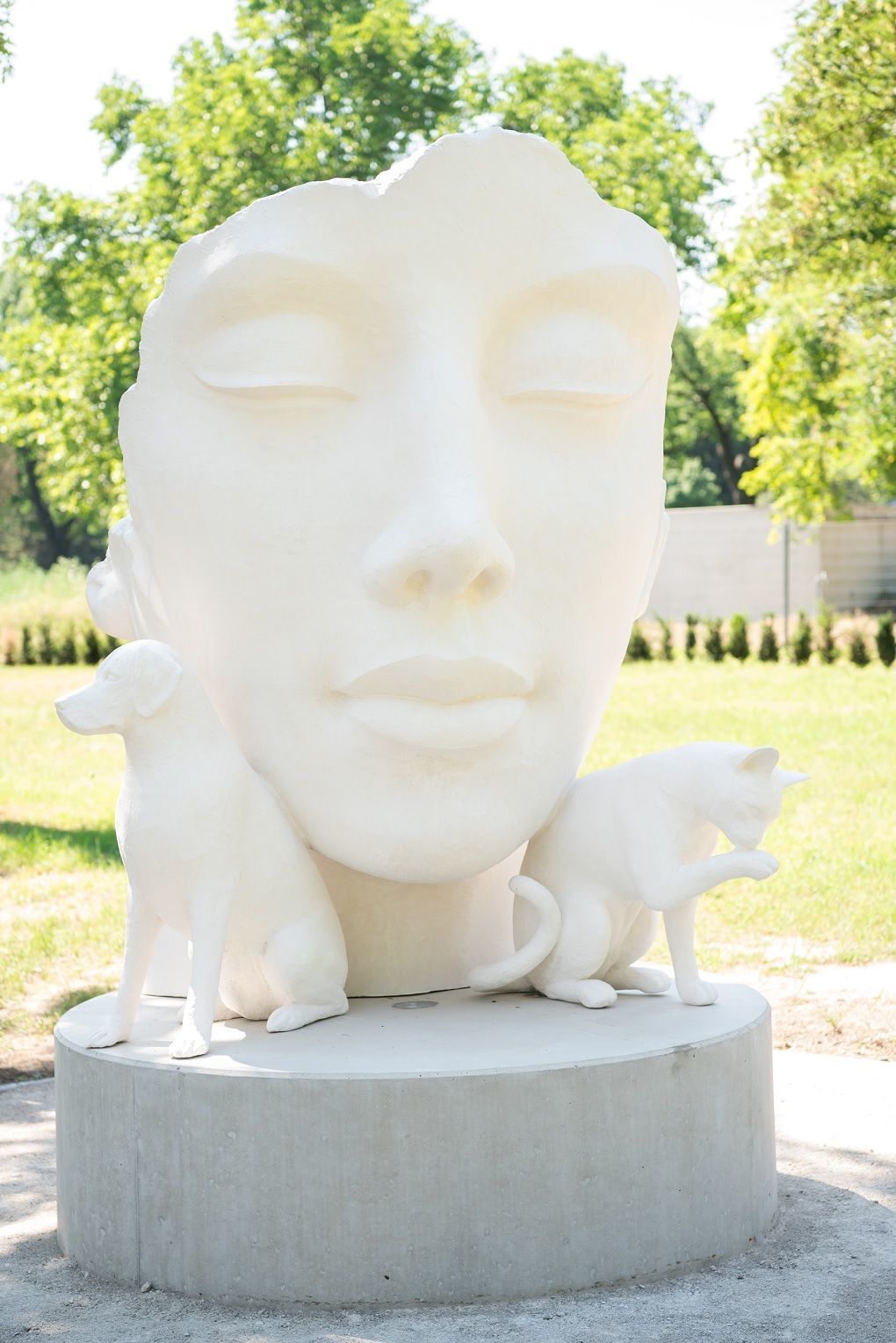 A temető egy elkerített szakaszán nyitották meg az ember - állat temetőt