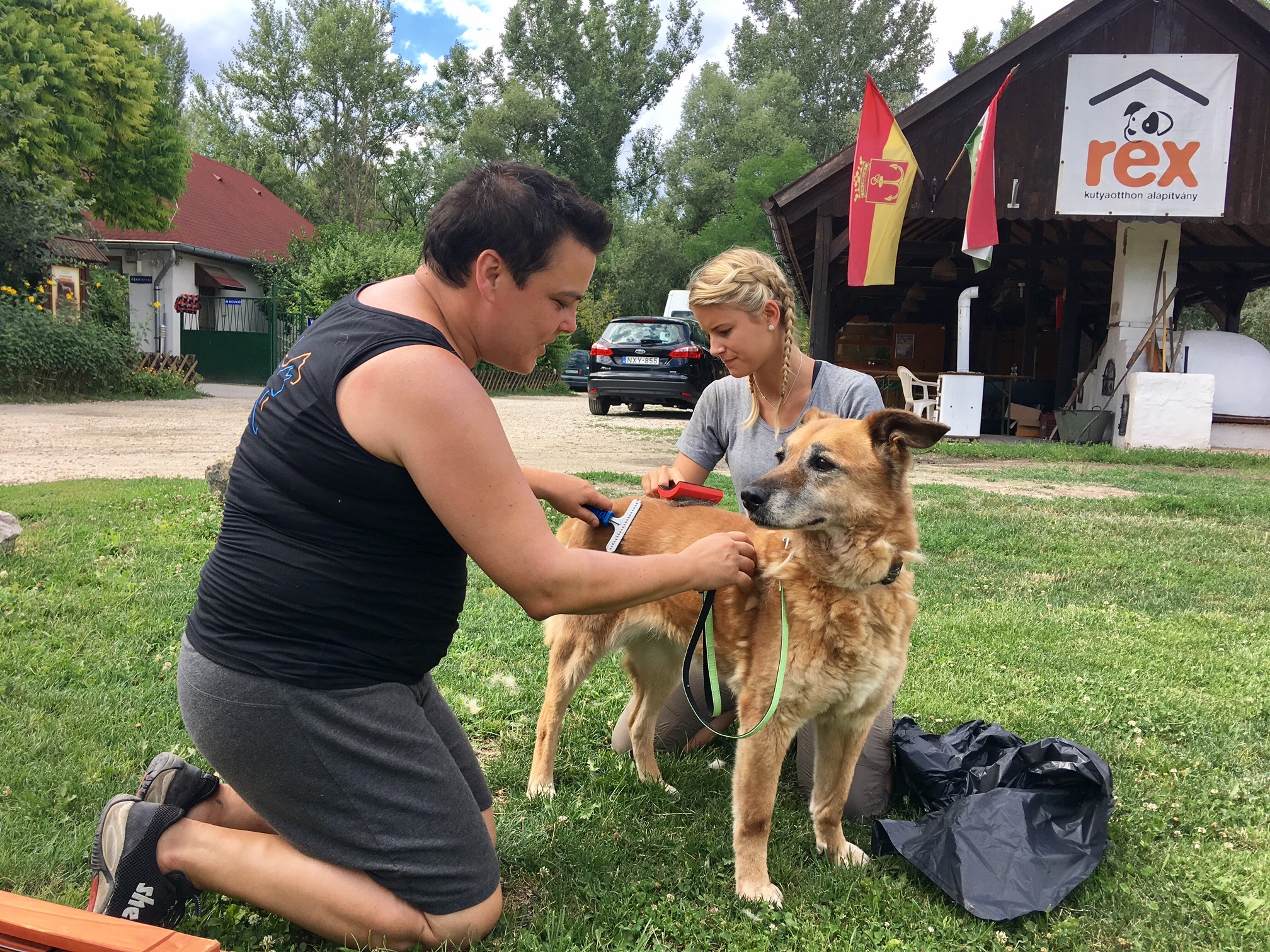 A menhelyi kutyák is kaptak egy kis kényeztetést