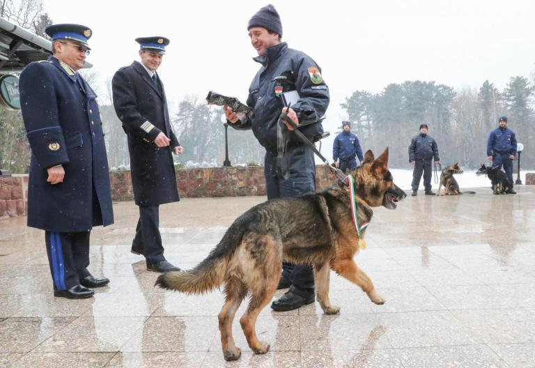 Rendőrkutyákat és vezetőiket tüntettek ki