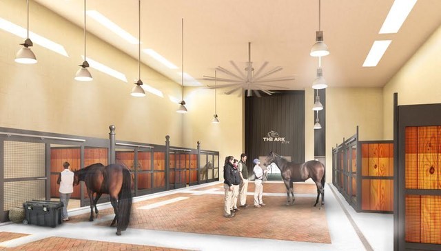 A versenylovakat is különlegesen jó körülmények között helyezik el