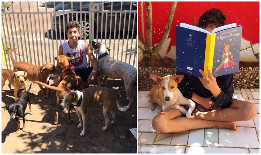 Szeretetet és gondoskodást kapnak a megmentett kutyák