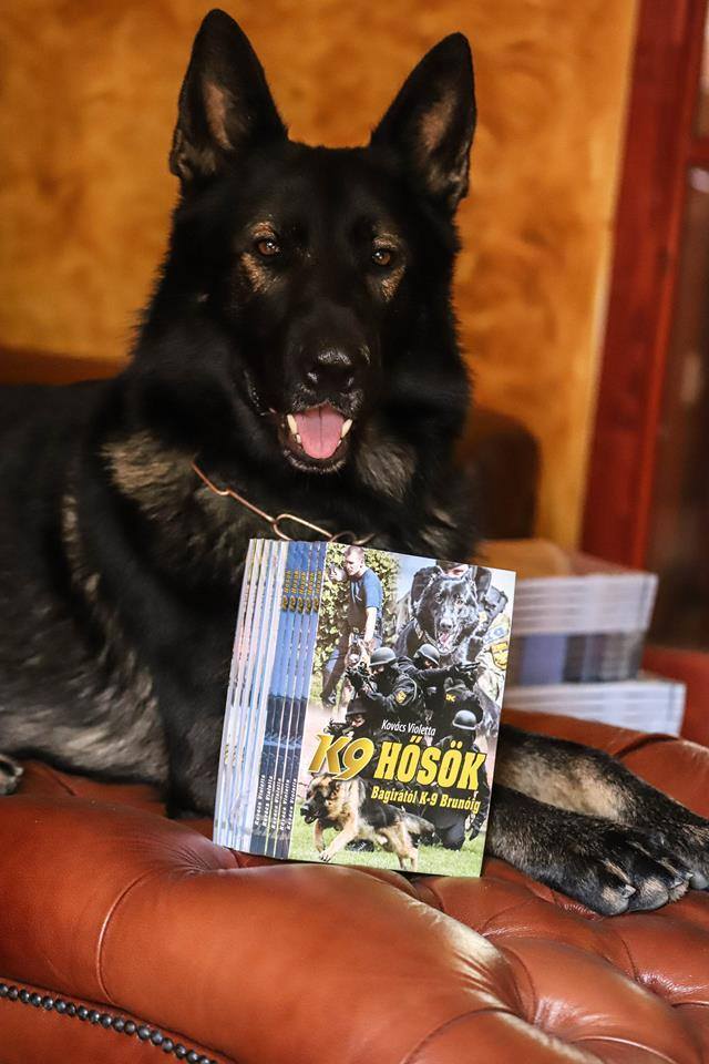 Violetta gyönyörű kutyája, Connor és a legújabb könyve