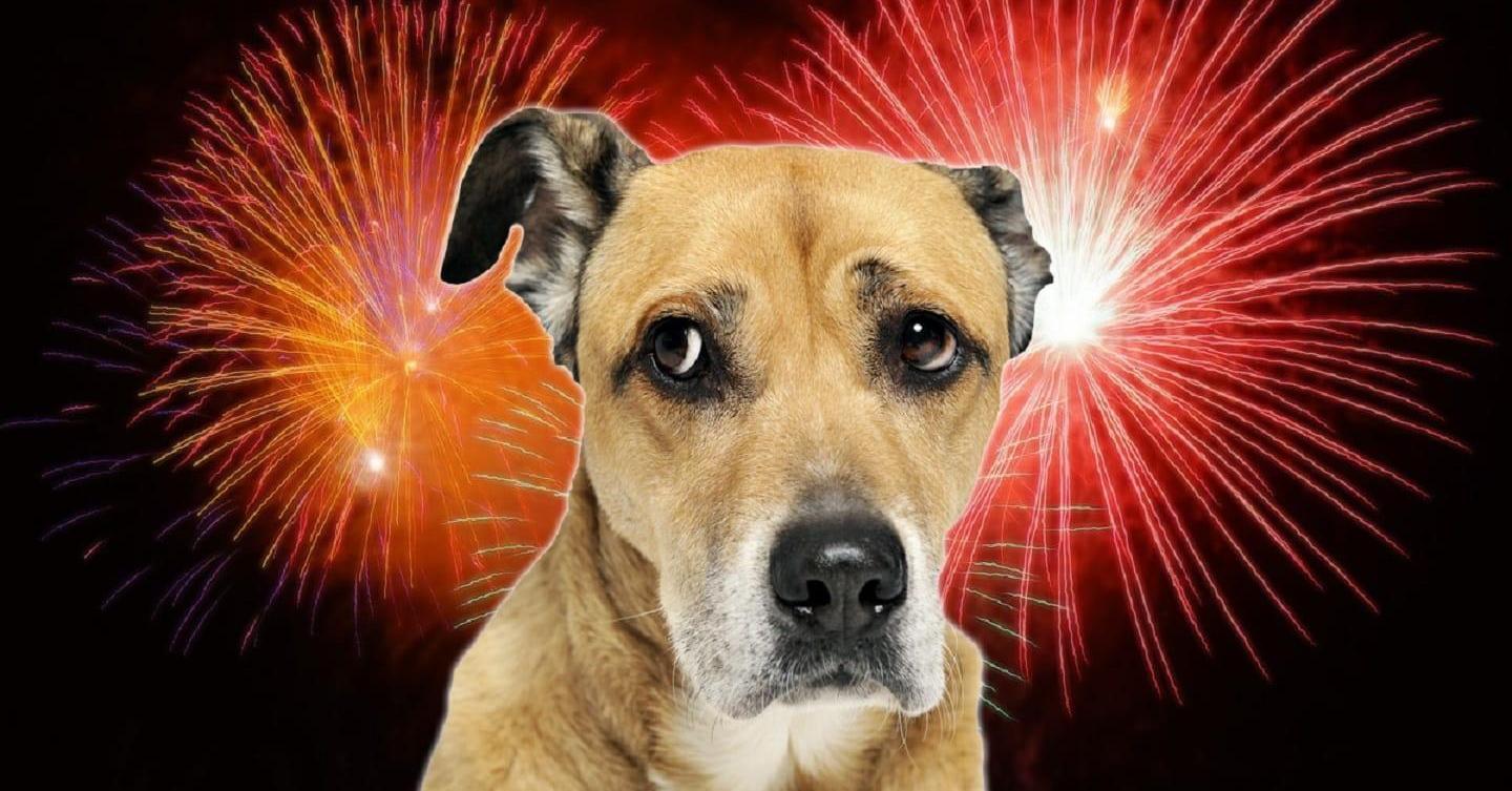 Augusztusi tűzijáték: készülj fel rá időben!