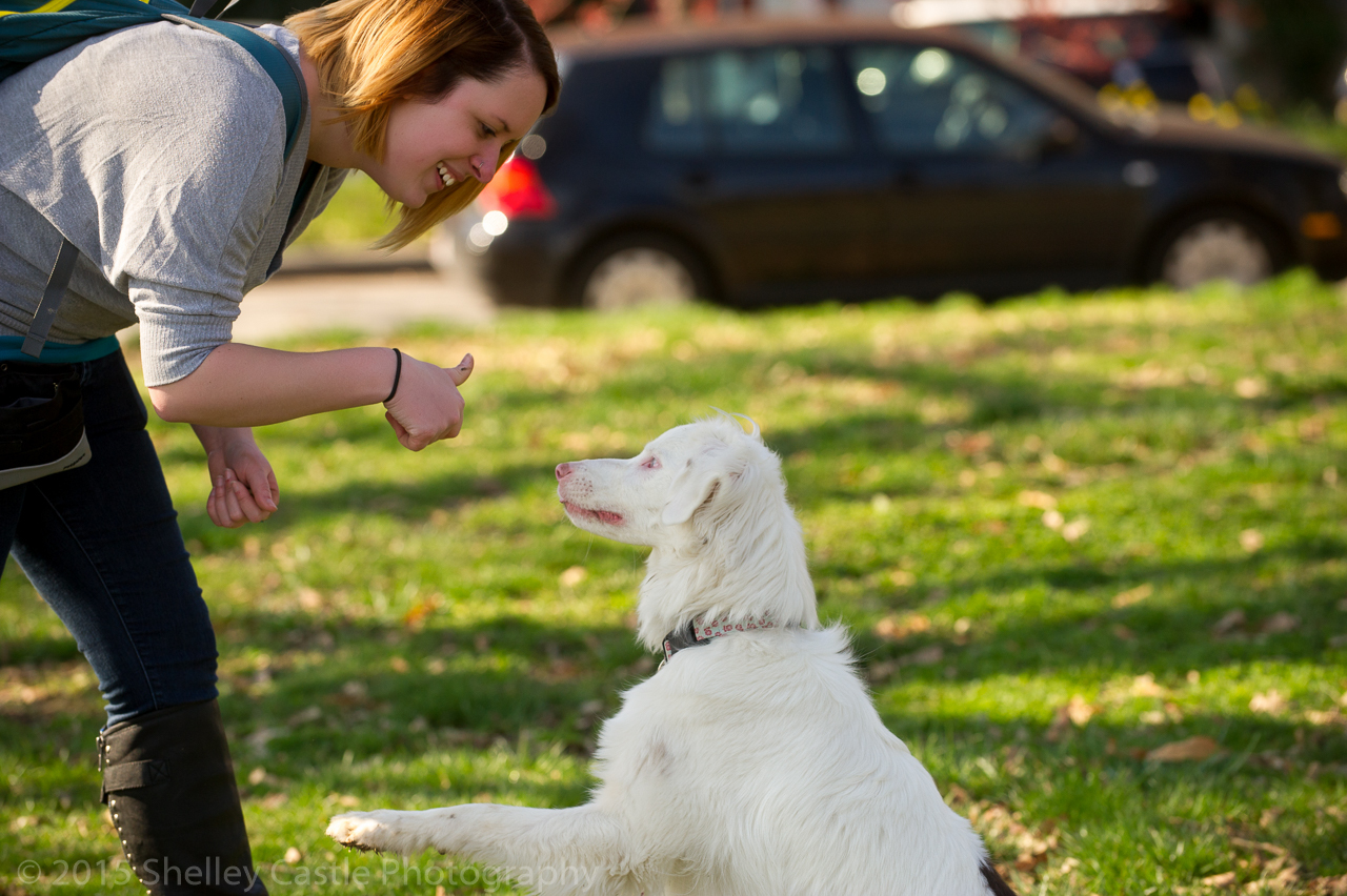 Arckifejezésünkből és testbeszédünkből is rengeteget leolvas a kutya, sokat segít neki, mikor már nem jól hall
