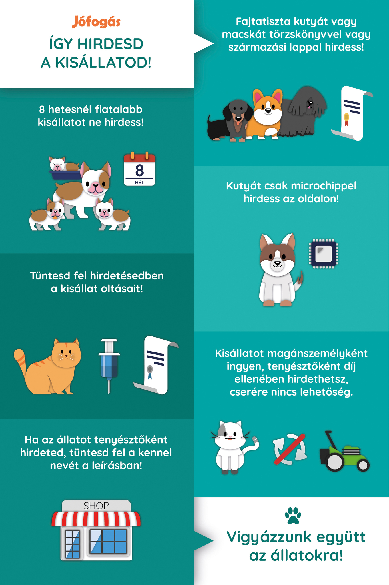 A kisállatok hirdetésének szigorított feltételei a Jófogáson A kisállatok hirdetésének szigorított feltételei a Jófogáson