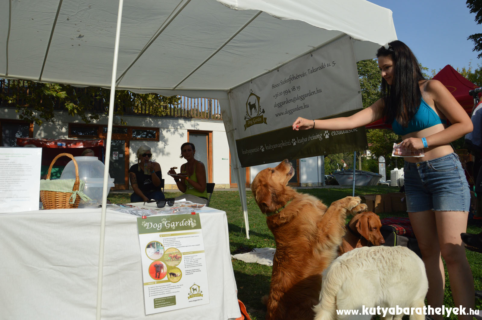Trükkös kutyák a Dog Garden standnál