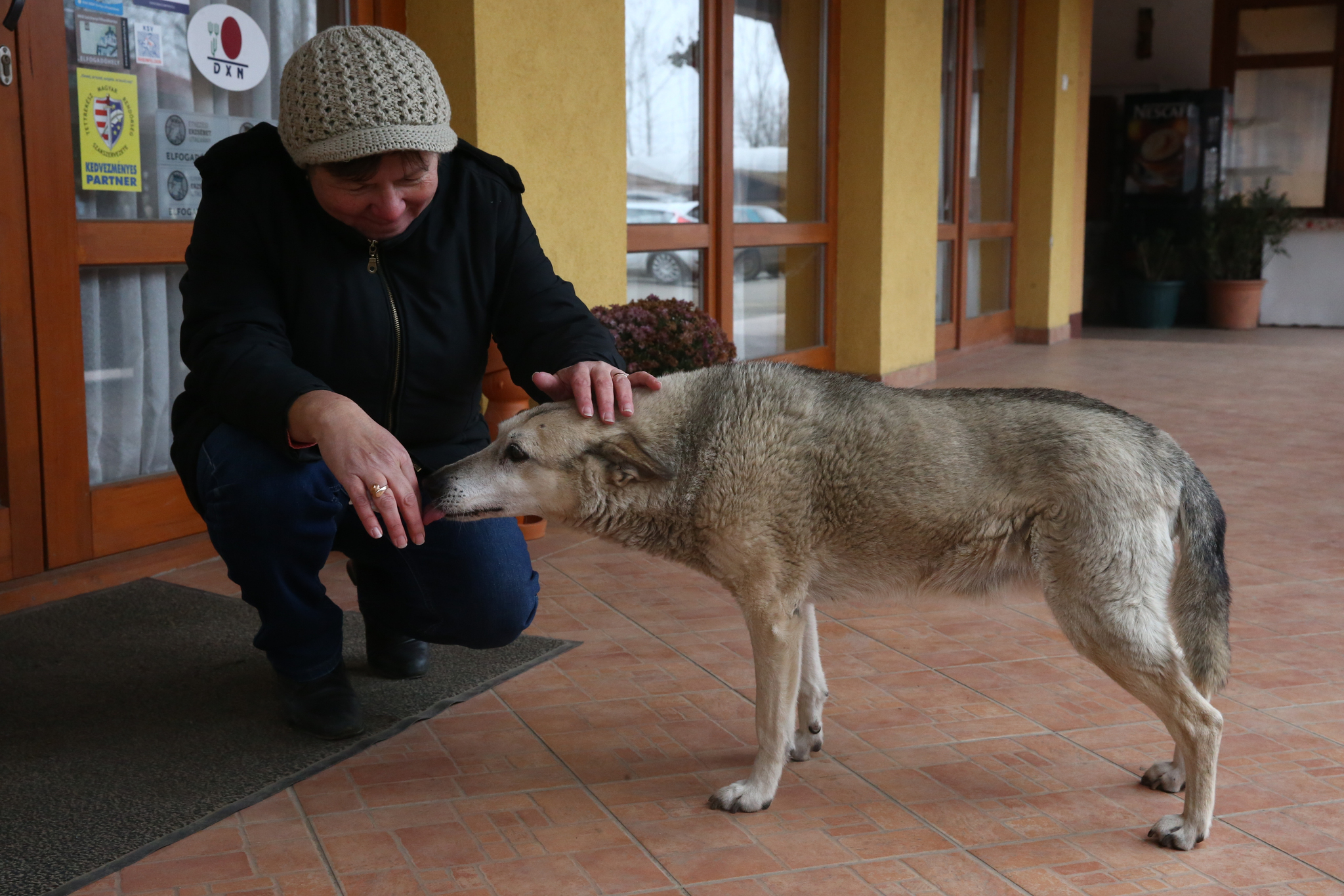 Buksi már betöltötte a 25 évet