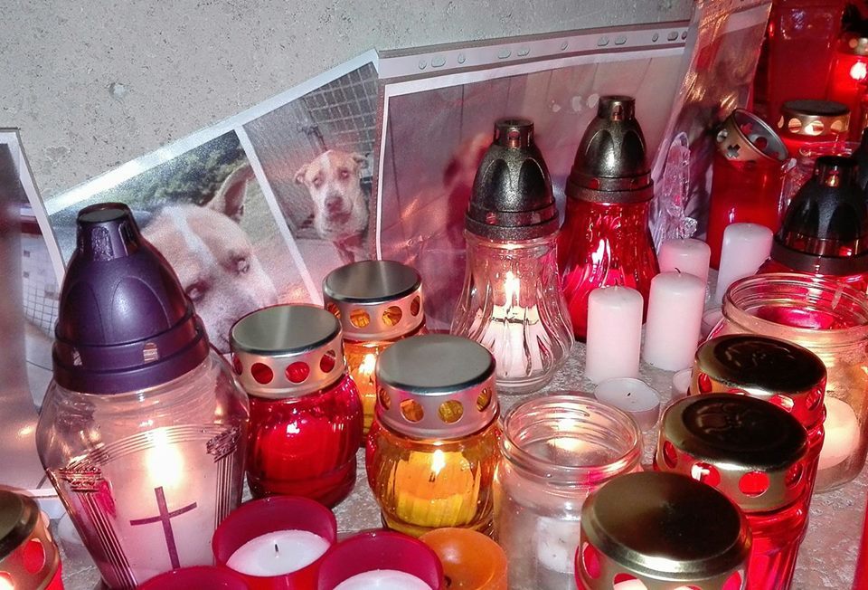 Fülöp képe a gyertyák között Pécsett