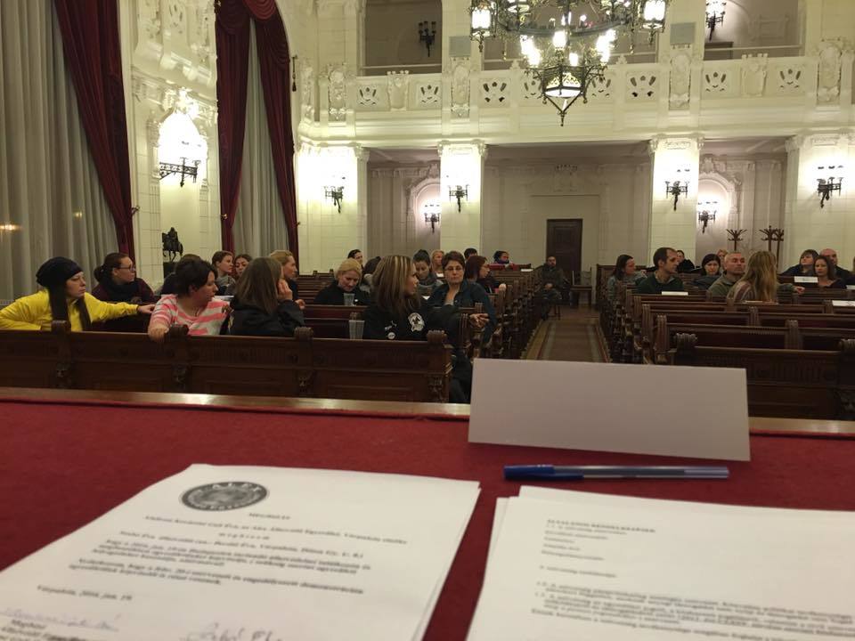 Országos állatvédelmi szövetség megalakítását tervezik az állatvédelmi szervezetek