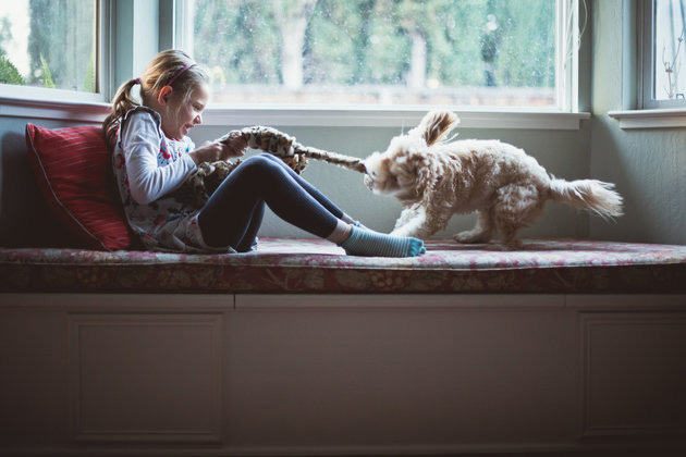 Akik mindig kaphatóak egy kis játékra: a gyerekek és a kutyák