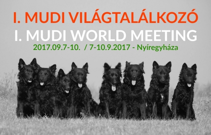 Mudi Világtalálkozó 2017 Mudi Világtalálkozó 2017