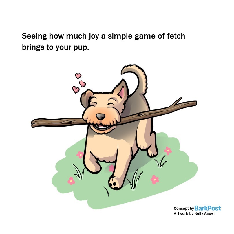 A Te kutyád is szívesen visszahozza játékát?