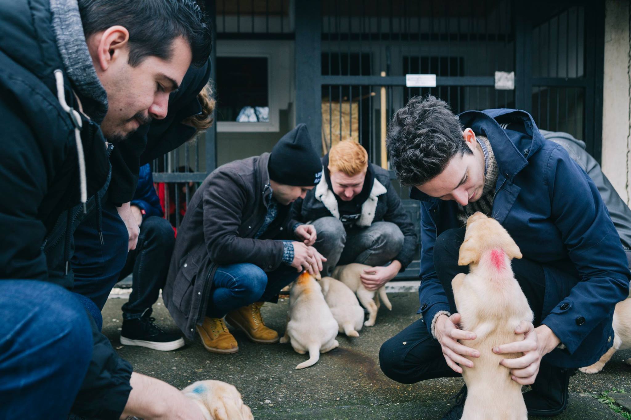 A Halott Pénz meglátogatta a csepeli Vakvezető Kutyakiképző Központot