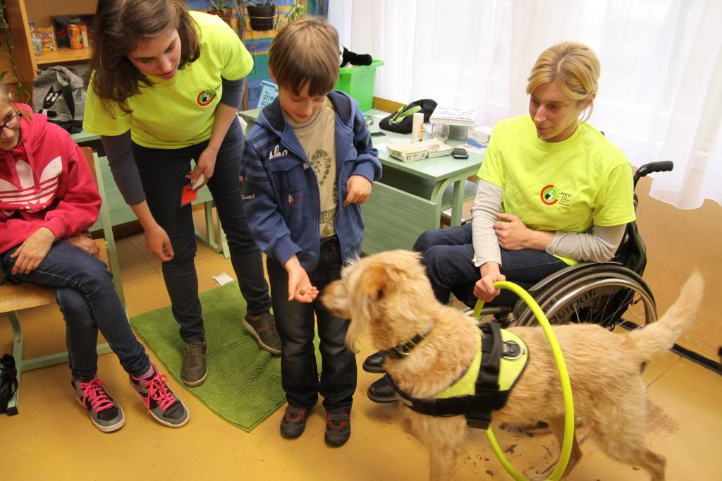 Iskolai érzékenyítő program a NEO Magyar Segítőkutya Egyesülettel