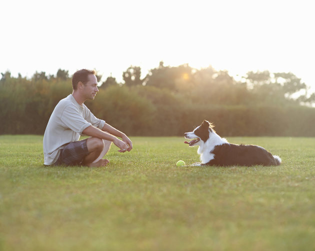 Labdázás vagy kötélhúzás? A kutya mindkettőtől boldog lesz! 