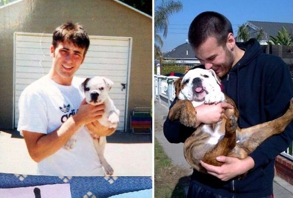 Chris Evans és előző kutyája, East