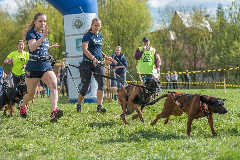 Idén 200 páros nevezhet a Dogs Crossra