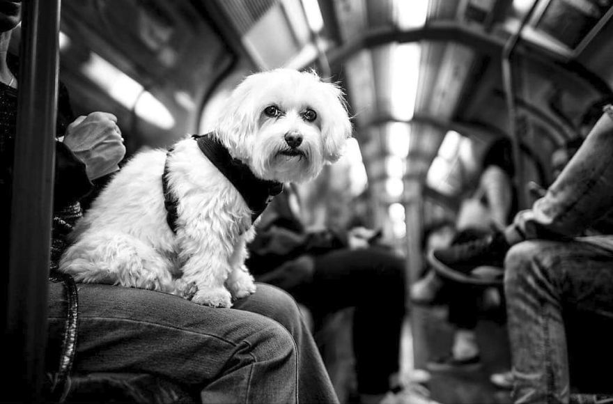 London, Egyesült Királyság