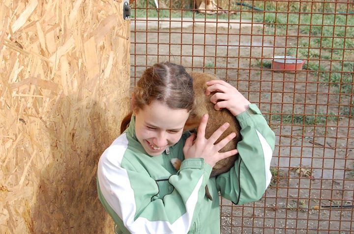 A kutyusok nagyon szeretik Fannit!