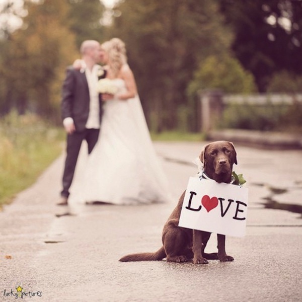 Jó, hogy itt vagy! Forrás:http://www.occasionsonline.com