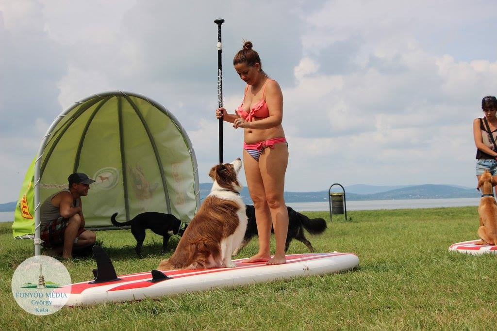 Evezés előtt  parton gyakoroltak a gazdik és a kutyák