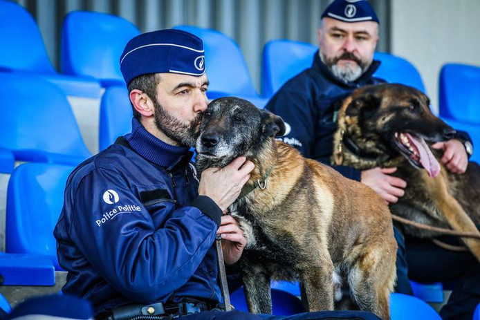 Draco és Blue halála megrázta a belga rendőrséget, különösen a kutyásokat