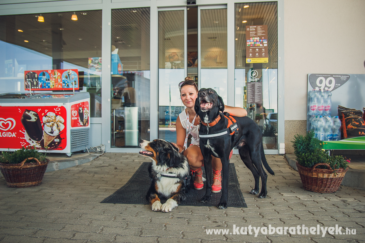 Kilátogattunk az egyik szombathelyi MOL töltőállomásra: nem csupán a vendégtér kutyabarát, hanem az itt dolgozó csapat összes tagja! Hatalmas szeretettel fogadták kutyáinkat! Képünkön Zákányi Renáta, kiskereskedelmi területi vezető szerepel kutyusainkkal