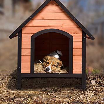 A béléshez, alomnak legjobb a szalma, a forgács vagy a papírcsíkok