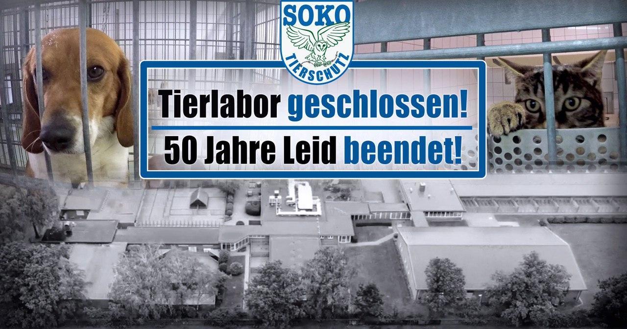 200 állat menekült meg a német horror laborból