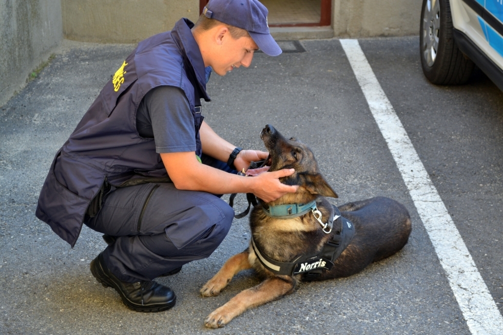 Szinyéri Béla és Norris 