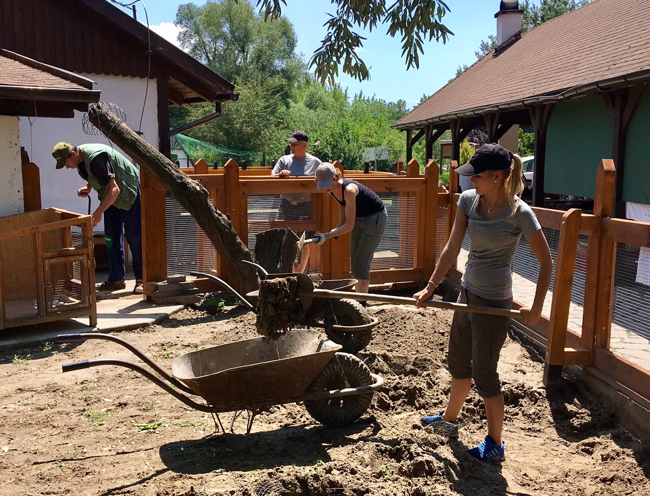 Épül a kifutó a menhelyen