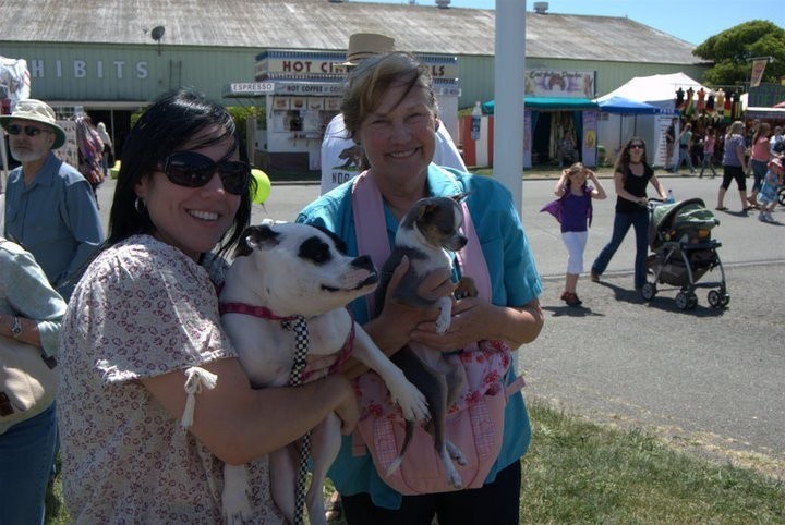 Ők is igénylik az aktív, szeretettel teli sétákat
